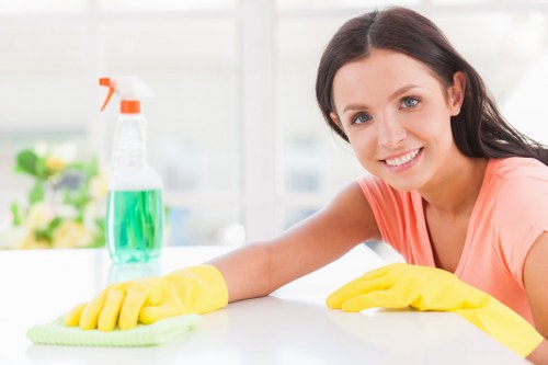 Professional stain removal service for carpets and upholstery in Balham