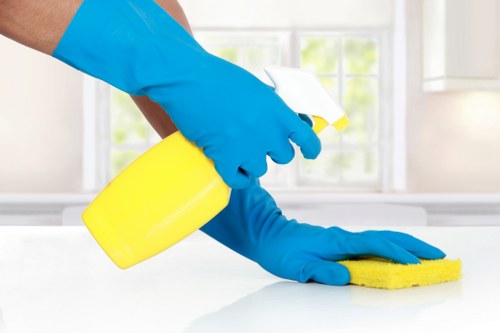 Domestic cleaning service for a Balham home with regular housekeeping support