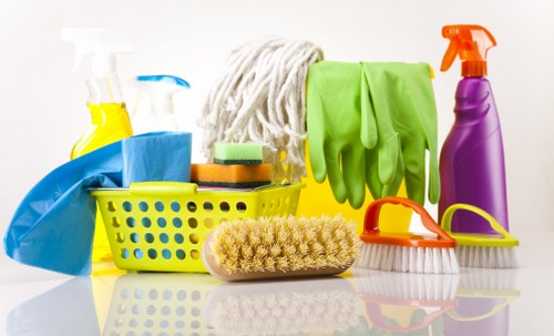 Pet stain removal service for a family home in Balham