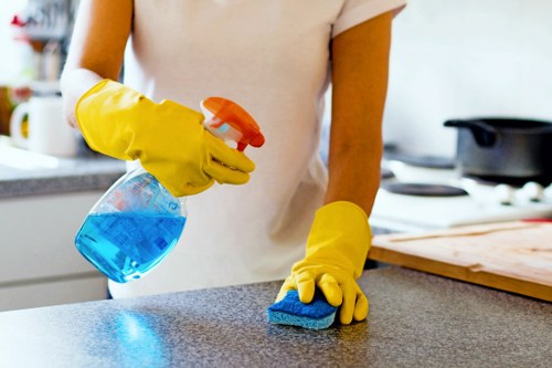 Scheduled housekeeping and cleaning support for Balham residents