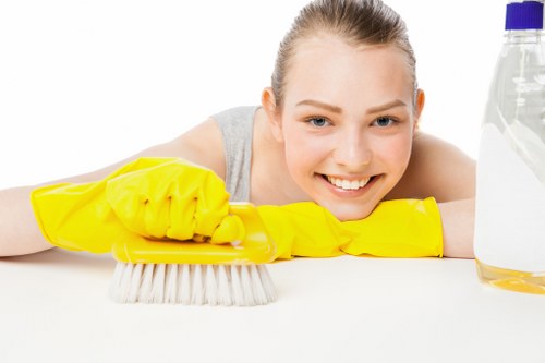 Professional cleaners in Balham applying safety checks before starting work