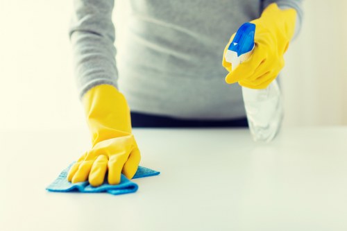 Technician treating mattress stains in a Balham flat