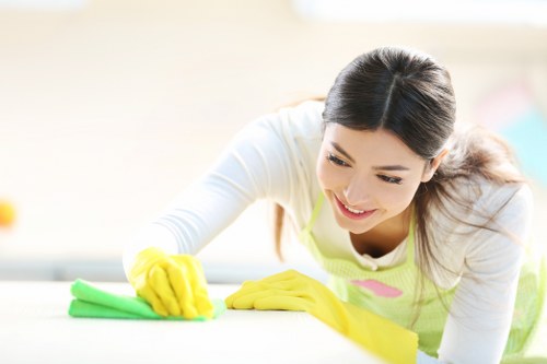 Cleaner treating stains on a living room sofa in Balham