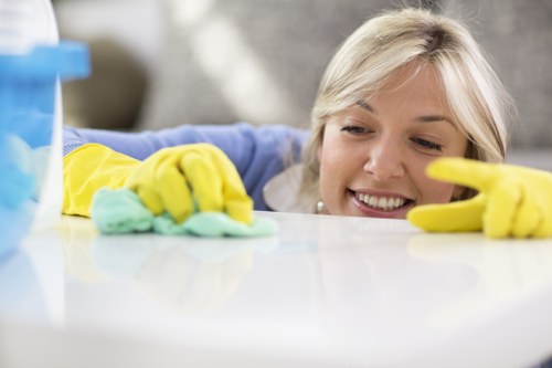 Professional window cleaning for Balham flats and apartments