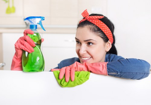 Cleaning equipment used for office carpet maintenance in Balham