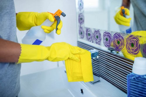 Domestic cleaning booking in Balham for regular or one-off home care