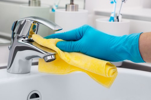 Professional gutter cleaning service for Balham businesses