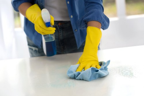 Oven cleaning for rental properties and family homes in Balham